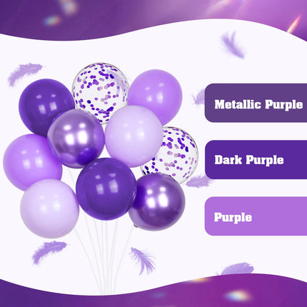 60pcs Purple Balloons 12inch with Metallic Pastel Dark Purple Balloons