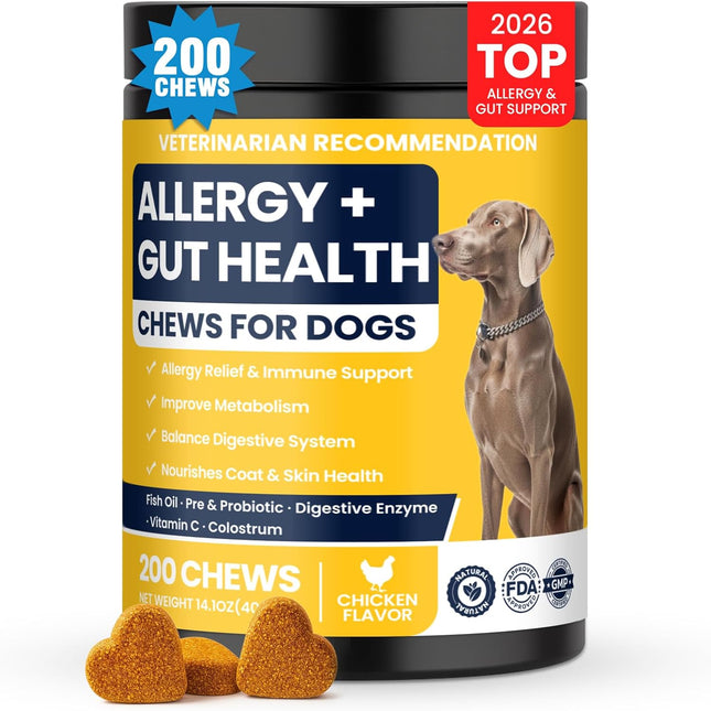Dog Allergy Chews with Probiotic Support