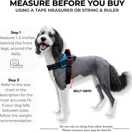 ShawnCo Essential Dog Harness, No-Pull Pet Vest with 3 Leash Clips, No Choke, Reflective, Adjustable and Padded, for Easy Walking and Training for Small, Medium and Large Dogs (Oceanic Blue, S)