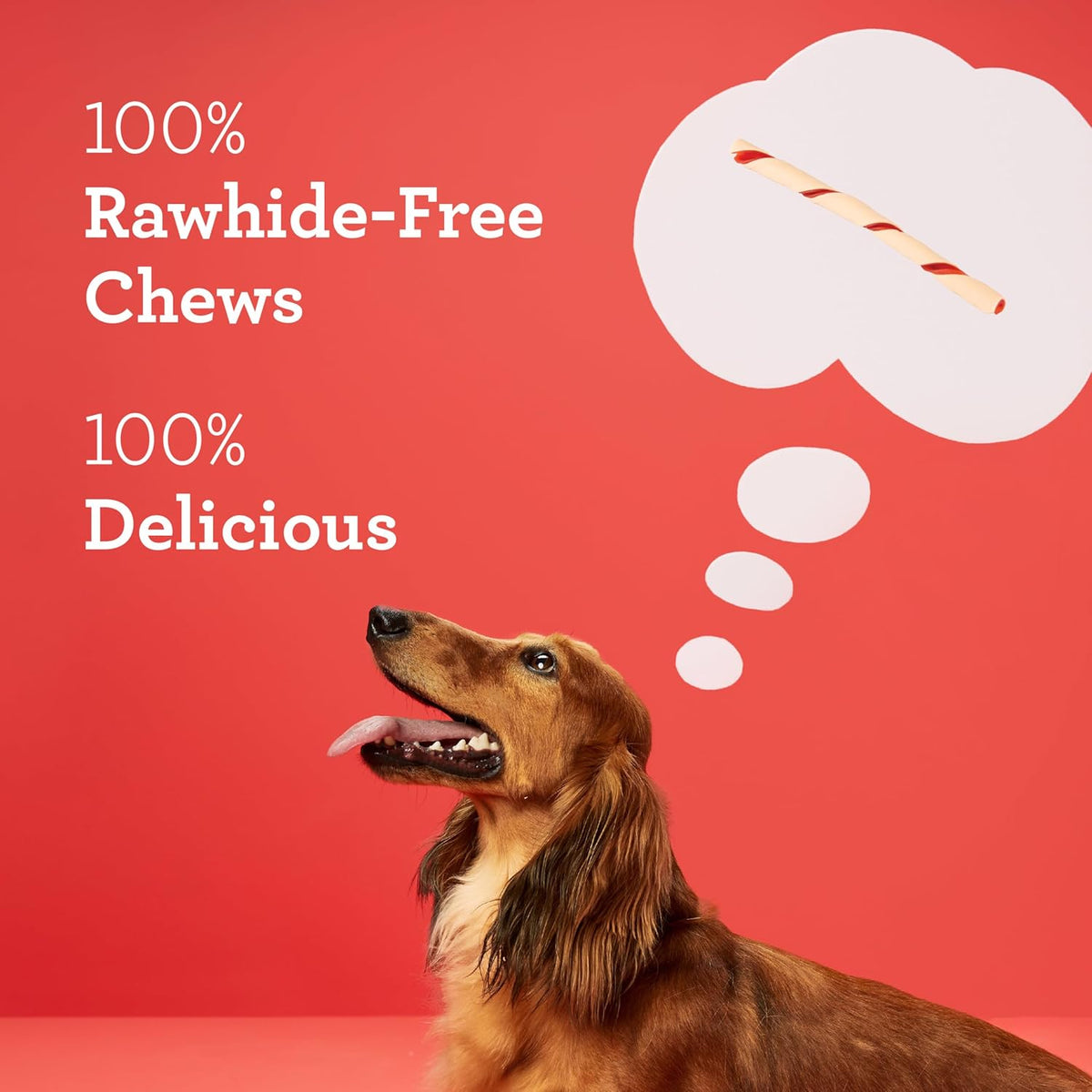 Rawhide-Free Twist Sticks Chews for Dogs, 50 Count - photo 3