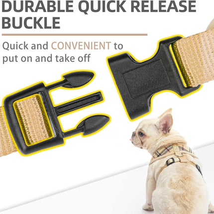 PUPTECK Soft Mesh Dog Harness Small Sized and Leash Set Pet Puppy Cat Comfort Padded Vest No Pull Harnesses, Beige, S