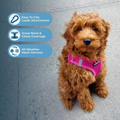 Fuchsia Step-In Air Mesh Pet Vest Harness, Small - photo 3