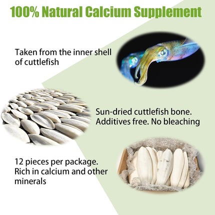 3.5"-4" Cuttlebone for Birds,Parakeets Cuddle Bone Beak Trimming,Premium Calcium Natural Cuttlefish Bone for Parrot,Cockatiel,Budgie,Tortoise, Snails,Reptiles,12 Pcs