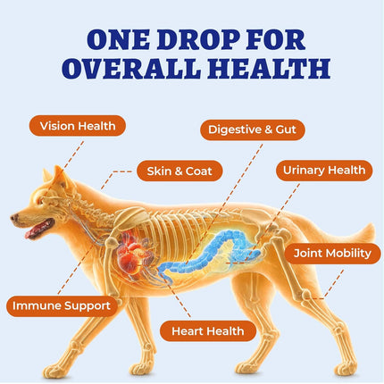 Wellix 4.06 FL oz 24-in-1 Liquid Multivitamin with Taurine for Dogs & Cats, Pet Vitamins and Supplements with Glucosamine, Cranberry, MSM, Probiotics - Itch&Allergy Relief, Joint Supplement for Pets