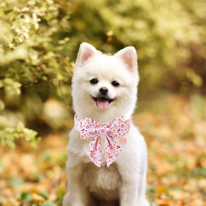 Pink Halloween Dog Collar with Flower, Adjustable Metal Buckle, M - photo 4