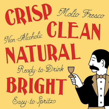 Lapo's Citrus Spritz, Non Alcoholic Canned Cocktail, Mocktail for Party, Non-Alcoholic Spirits, Zero Proof Orange Bitters, Mocktails and Alternative Drinks, Ready to Drink Cans, Gluten Free, 12 Pack