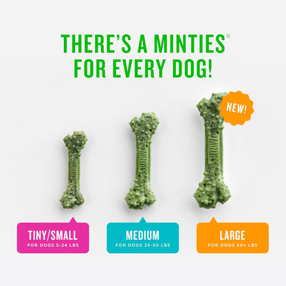Tiny/Small Dog Dental Bone Treats, 16 oz, 40 Count - photo 4