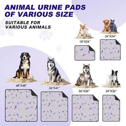 Washable Dog Pee Pads, Non-Slip Waterproof, 36 x 41 in, 2 Pack, Feather