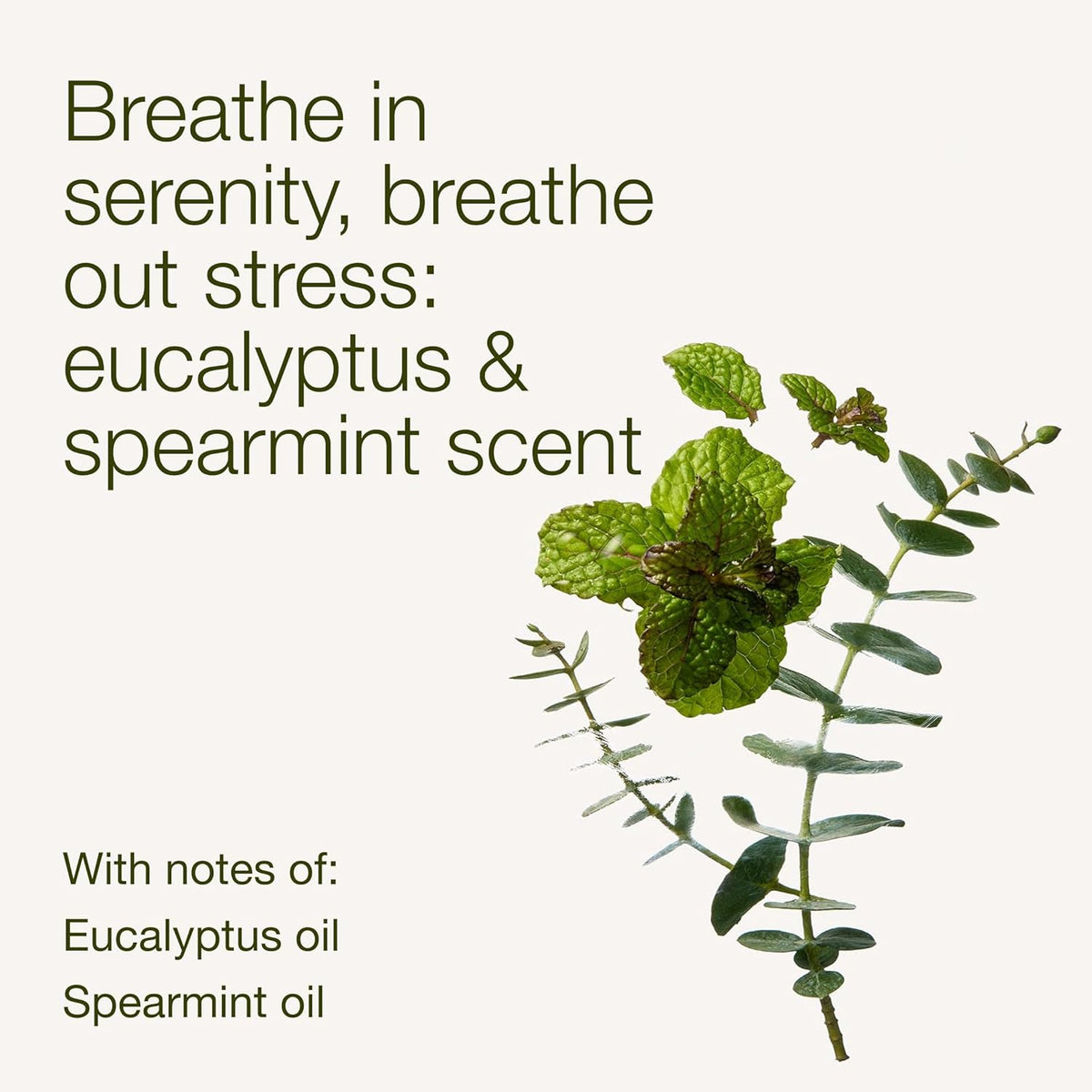 Aromatherapy Eucalyptus Spearmint Essential Oil Mist, Body Spray with Vitamin E and Aloe, Pillow Spray - photo 3
