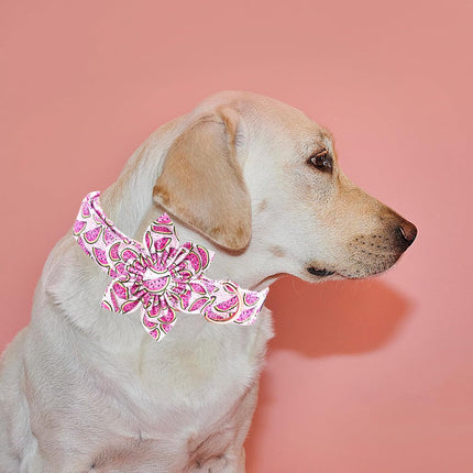 Elegant little tail Dog Collar with Flower, Watermelon Print Pet Collar Flower Pet Collars Summer Cute Adjustable Dog Collars for X-Small Dogs