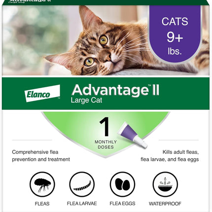 Advantage II Large Cat Vet-Recommended Flea Treatment & Prevention | Cats Over 9 lbs. | 1-Month Supply