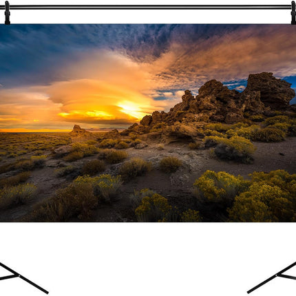 Desert Reptile Terrarium Background Sunset Rock Formations Reptile Tank Background Desert Thorns Rocky Bush Reptile Habitat Backgrounds Bearded Dragon Aquarium Fish Tank Backgrounds 48x24in