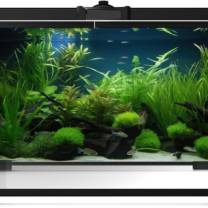 Aquarium Background Diverse Collection of Aquatic Plants Seagrasses Terrarium Background Redwood Root Moss Tropical Style Underwater Plants Fish Tank Background Under The Sea Aquarium Backdrop 24x16in