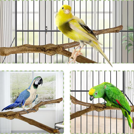 kathson Natural Parrot Perch Bird Stand Pole Wild Grape Stick Paw Grinding Fork Parakeet Climbing Standing Branches Toy Chewable Cage Accessories for Small Budgies Cockatiels Lovebirds 3PCS