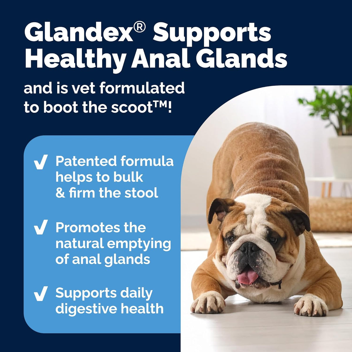 Anal Gland Health Soft Chew Treats with Pumpkin - photo 4