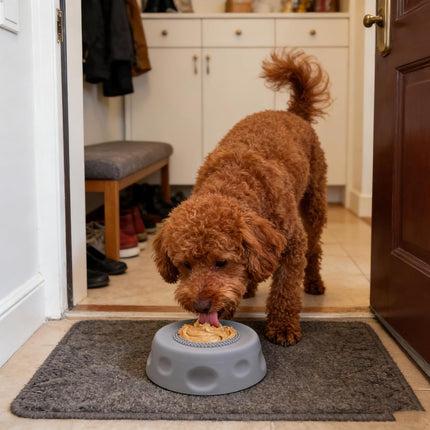 Dog Lick Bowl with Ball,Lick Ball Bowl for Dogs,Dog Licking Bowl with Rolling Ball,Slow Feeder Ball Bowl to Slow Pet Eating,Rolling Ball Dog Bowl Give Pet More Time to Enjoy Eating. (Black)