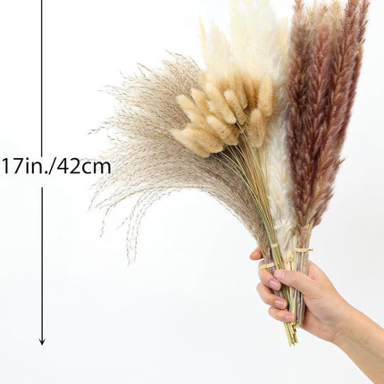 xin's convey 110pcs Dried Pampas Grass, (Vase Not Included),Dried Flower Bouquet, Reed Grass Bouquet for Boho Floral Home, Wedding Party Centerpiece, Rustic Farmhouse Decoration.(Brown)