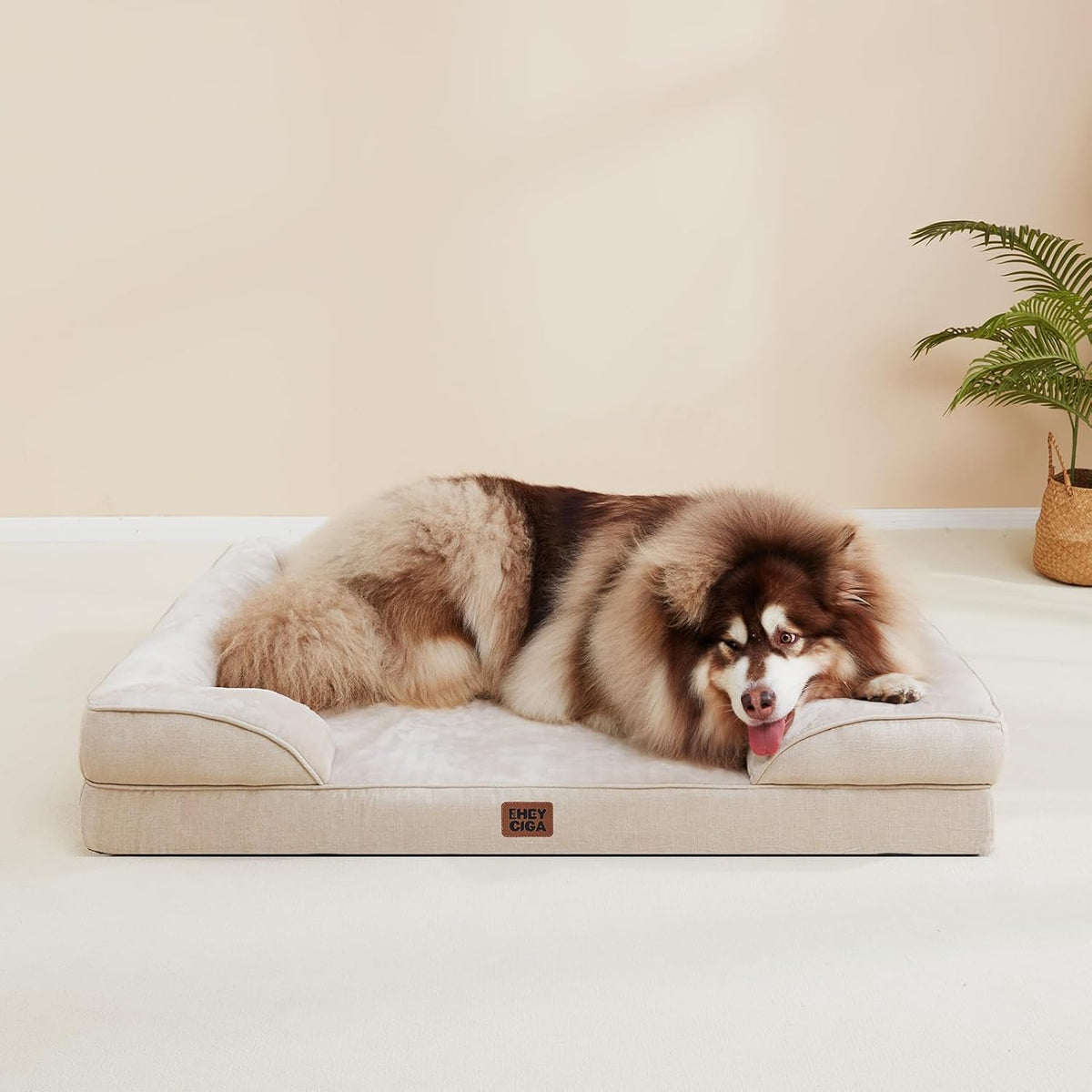 Orthopedic Dog Bed for Small Dogs, Waterproof Memory Foam Small Dog Beds with Sides, Non-Slip Bottom and - photo 5