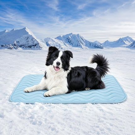 Dog Crate Pad, Washable Cozy Dog Bed Mat for Medium Dogs 36"x23", Gray