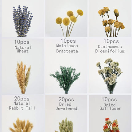 DIY Natural Dried Flower Set, Bulk Dried Flowers for Vase, Dried Flowers with Stems, Dried Roses, Mini Dried Flower Bouquets.(Brown)