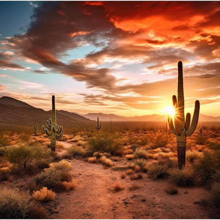 Reptile Habitat Background Sunset Desert Terrarium Background Towering Saguaro Cacti Silhouetted Against Sky Rugged Terrain Vibrant Desert Colors Landscape Tank Backdrop Vinyl 48x18in