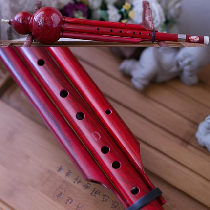 Bass D Key Hulusi ABS Resin Cucurbit Flute Folk Musical Instrument Professional Chinese Gourd Flute Professional Hulusi