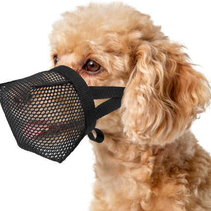 LUCKYPAW Mesh Dog Muzzle for Small Medium Dogs Yorkshire Poodle Dachshund Puppy Muzzle to Anti Biting Scavenging Chewing for Grooming Vet Visits Friendly Stitching (Black, XS/S(Snout Cir: 6.5-7.25"))