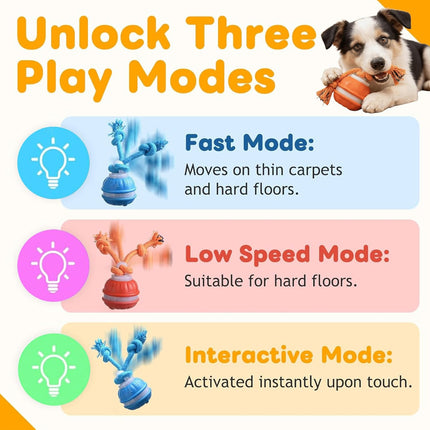 Interactive Dog Toys,Dog Ball Toy with Squeaky Birdsong Sound and Stimulation,Automatic Motion Activated Dog Toy for Boredom,Indoor Outdoor Pet Exercise Toy for Small/Medium Dogs(Blue)