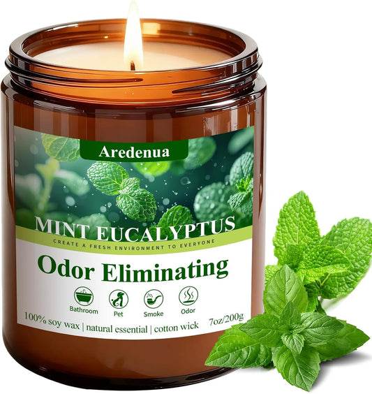 Mint Eucalyptus Odor Eliminating Soy Wax Jar Candle