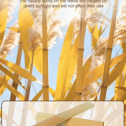 New bee 10pcs Bb Clarinet Reeds Strength 3.0 Individually Packed with Reed Case, Thinner Reed Tip Advanced Cutting Technology for Clarinet Beginner and Player