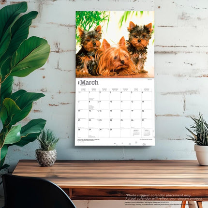 For the Love of Yorkshire Terriers | 2027 14 x 24 Inch (Hanging) Monthly Deluxe Wall Calendar | Foil Stamped Cover | Plastic-Free | BrownTrout | Animal Small Dog Breeds