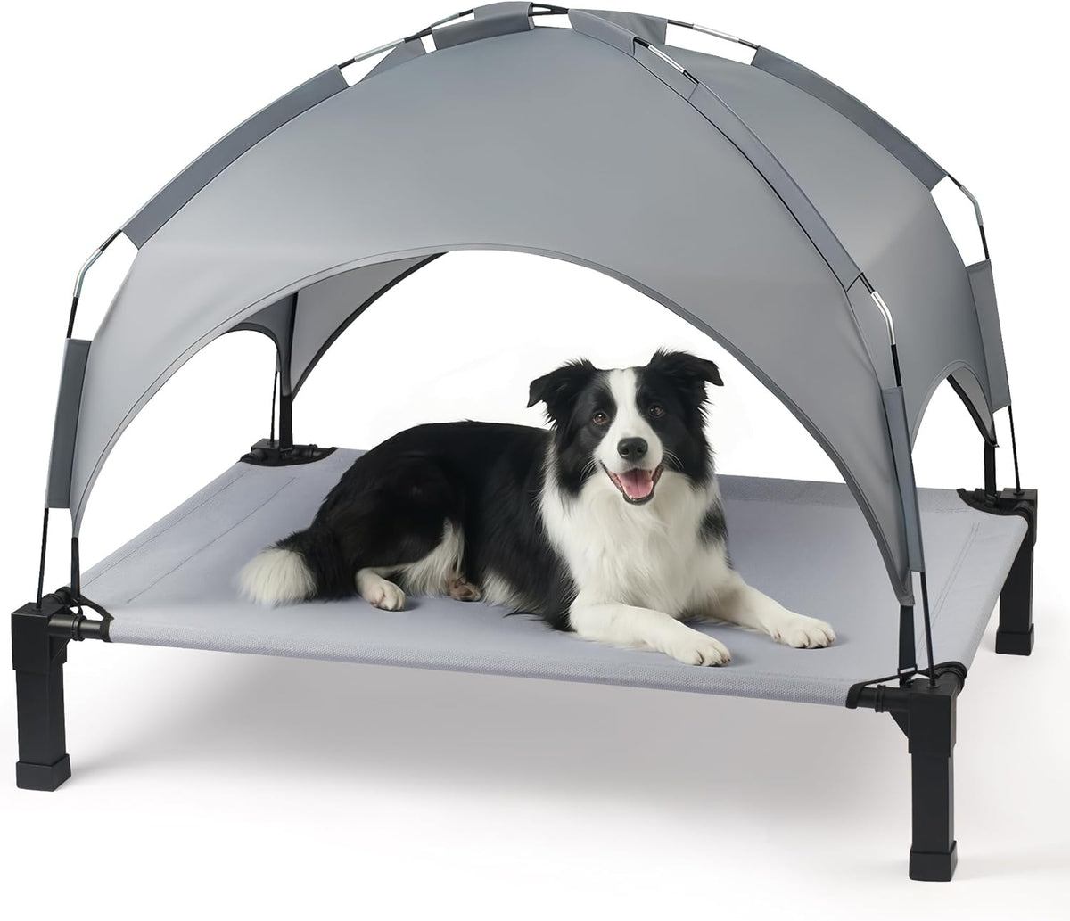 Elevated Dog Bed with Removable Canopy, 42 in