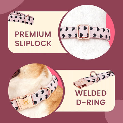 Elegant little tail Valentine's Dog Collar - Pink Black Heart Dog Collars Bowtie Pet Collars with Sturdy Metal Buckle Puppy Adjustable Collar for Medium Dogs