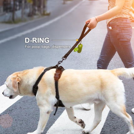 Short Dog Leash for Close Control & Training, 18", Black