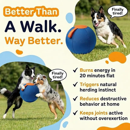 Ruckus Herding Ball, Herding Ball for Dogs, Extra-Large Enrichment Ball — Tear-Resistant, Includes Protective Cover and Air Pump, Available in Three Sizes to Suit All Dogs (color1, Medium)