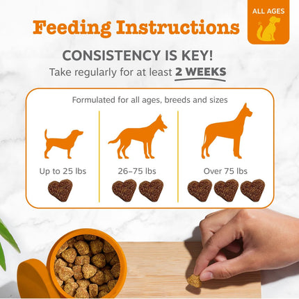Zesty Paws Probiotics for Dogs, Digestive Enzymes Gut Flora, Digestive Health, Diarrhea & Bowel Support, DE111, Dog Probiotics Soft Chew for Pet Immune System, Chicken, 90 Ct