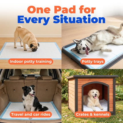 Extra Large Dog Training Puppy Pee Pads - Blue, 100 Count