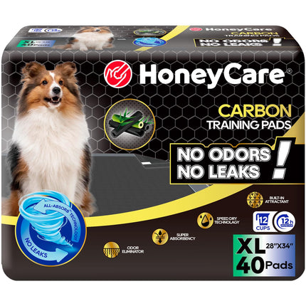 All-Absorb Puppy Training Pads | Doggie Potty Pads Absorb Eliminating Urine Odor, Ultra Charcoal Dog Pee Pad (Carbon, L 22x23 inch, 100ct)