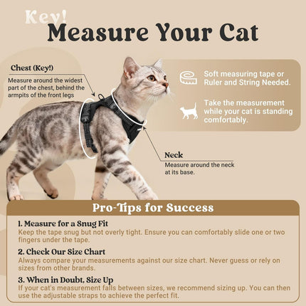 rabbitgoo Cat Harness and Leash, Escape Proof Vest with 3 Adjustable Buckles, Soft Comfortable Kitten Harness, Easy to Wear, Reflective for Safe Outdoor Walking, Small, Black