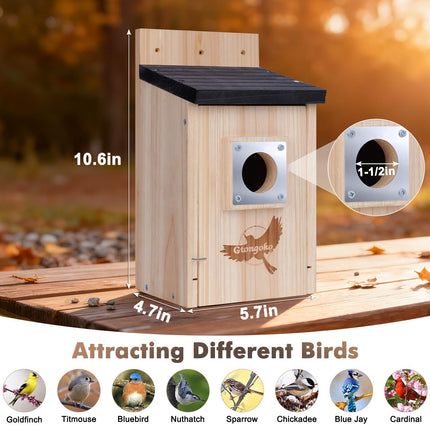 Amazon.com : GYMURE Handmade Alpaca Fiber Bird Nesting Heart with Refillable Natural Nesting Materials, Hanging Winter Shelter &amp; Spring Nest Holder for Wild Birds, Decorative Outdoor Garden Birdhouse Gift : Pet Supplies