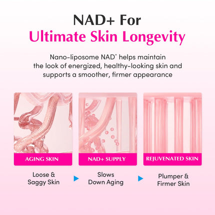 EQQUALBERRY NAD+ Peptide Boosting Cream – NAD+ 5% & 13 Peptides Anti-Aging Korean Skincare Face & Body Cream | Firming & Lifting Pink Neck Cream for Sagging Skin (1.69 fl.oz / 50ml)