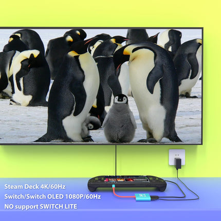 PURBHE Docking Station for Nintendo Switch 1/2 and Steam Deck, Support TV Dock Mode, Portable TV HDMI Adapter Accessories for Nintendo Switch 1 and OLED and 2, USB C to HDMI 2.0 Adapter