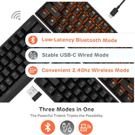 Wireless 60% Triple Mode BT5.0/2.4G/USB-C Mechanical Keyboard, 61 Keys Wireless Mechanical Keyboard, Compact Gaming Keyboard with Software (Hot Swappable Blue Switch, Black)