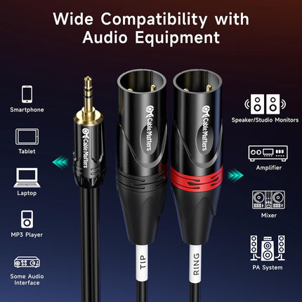 Cable Matters 3.5mm 1/8 Inch TRS to 2 XLR Cable 3 ft, Male to Male Aux to Dual XLR Breakout Cable