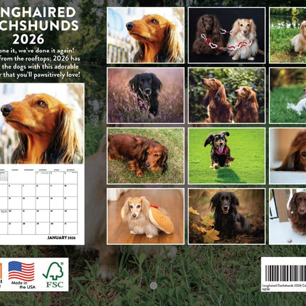 Long Haired Dachshund Calendar 2026 Longhaired Monthly Wall Calender 12 Month | American Made In The USA