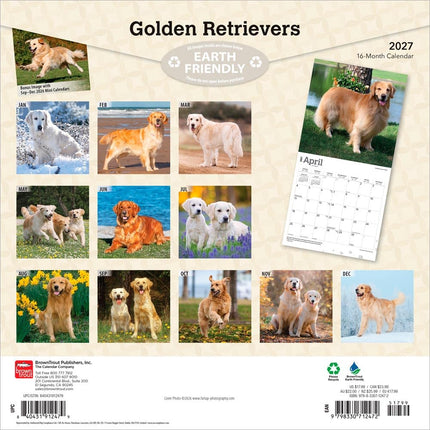 Golden Retrievers | 2027 12 x 24 Inch (Hanging) Monthly Square Wall Calendar | Foil Stamped Cover | Plastic-Free | BrownTrout | Animals Dog Breeds Retriever