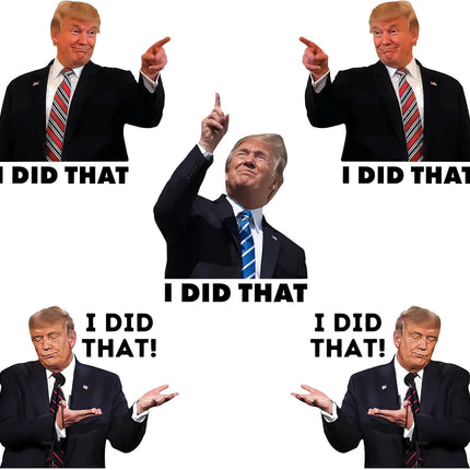 I Did that Trump Stickers, 100 Pcs Trump I Did that Stickers, Funny I Did that Stickers, Mixed 5 Different Patterns, 3" Large Size (100 Pcs)
