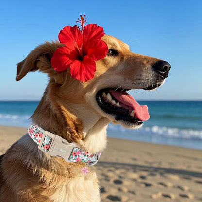 Flower Cotton Dog Collar for Small, Medium, and Large Dogs - photo 4