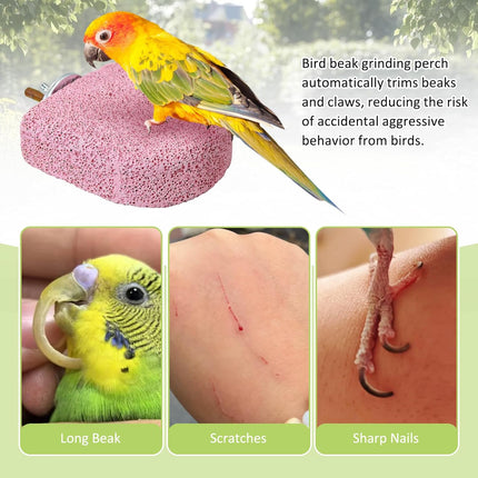 BNOSDM 4 Pcs Bird Beak Grinding Stone Chew Toy Parrot Calcium Perch Bird Stand Platform Parakeet Cage Accessories for Budgies, Cockatiels, Conures, Lovebirds, Finch (Pink)