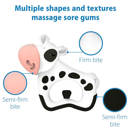 Dr. Brown's Ridgees Cow Baby Teether, Massaging Multi-Texture Teething Toy for Babies, Silicone Free, BPA-Free, 3m+